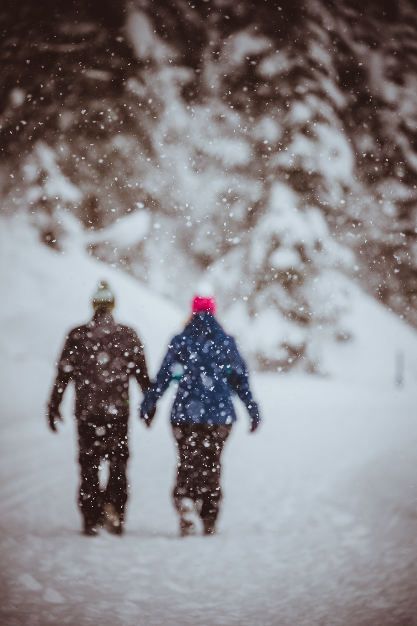 Export x3 1DX29370 Verlobungsfotoshooting 2018 Anna & Dominik
